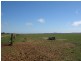 Lot 1B Billiatt Road, Lameroo SA 5302