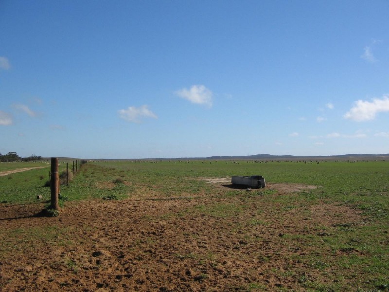 Lot 1B Billiatt Road, Lameroo SA 5302