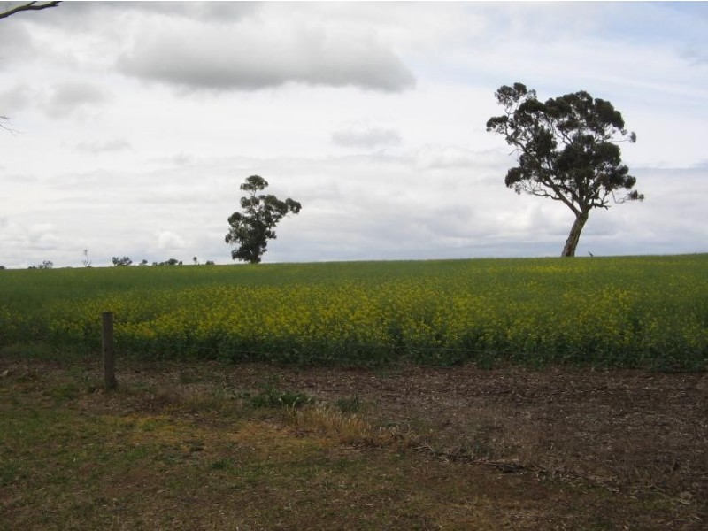 . Dukes Hwy, Bordertown SA 5268