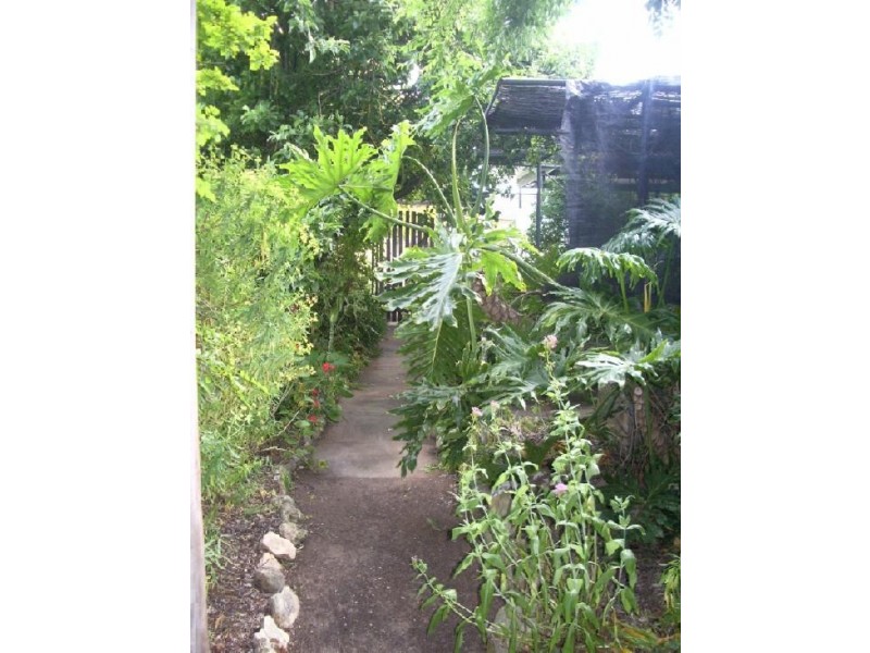 24 Carson Street, Mundulla SA 5270