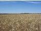 Lot 91 Karte Road, Pinnaroo SA 5304