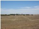 Lot 91 Karte Road, Pinnaroo SA 5304