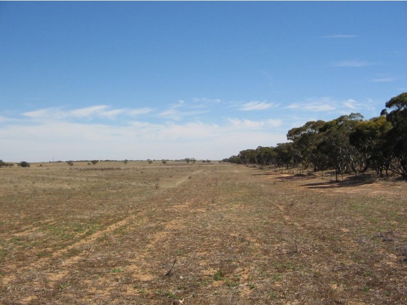 Lot 91 Karte Road, Pinnaroo SA 5304