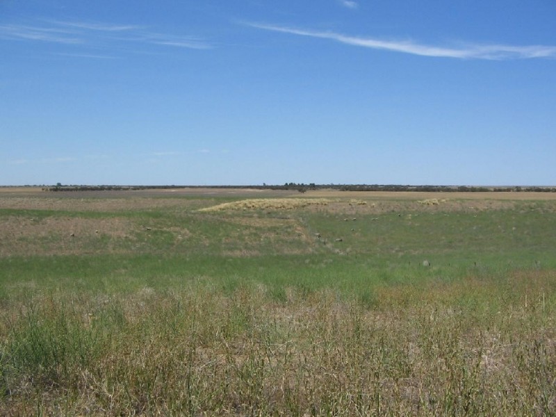 Lot 91 Karte Road, Pinnaroo SA 5304