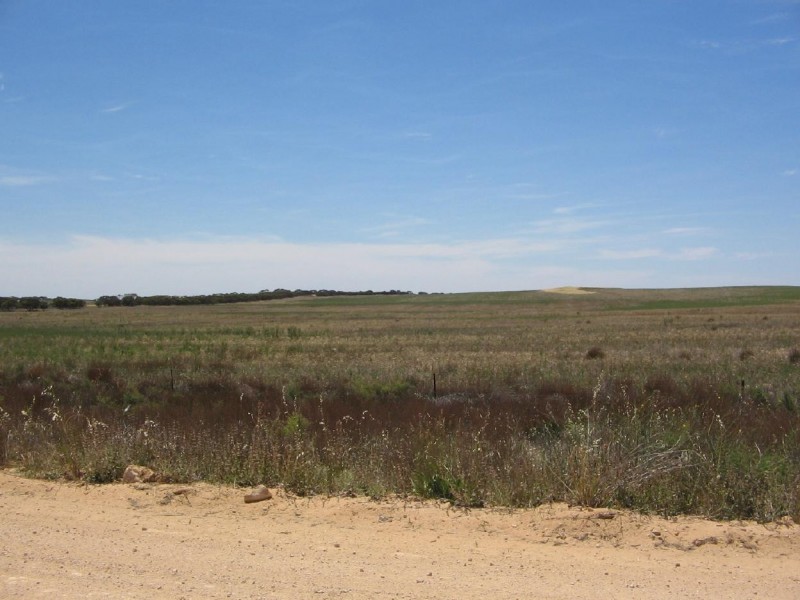 Lot 91 Karte Road, Pinnaroo SA 5304