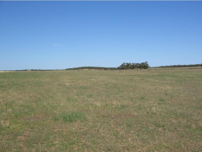 Various Lots Mulpata Road, Lameroo SA 5302