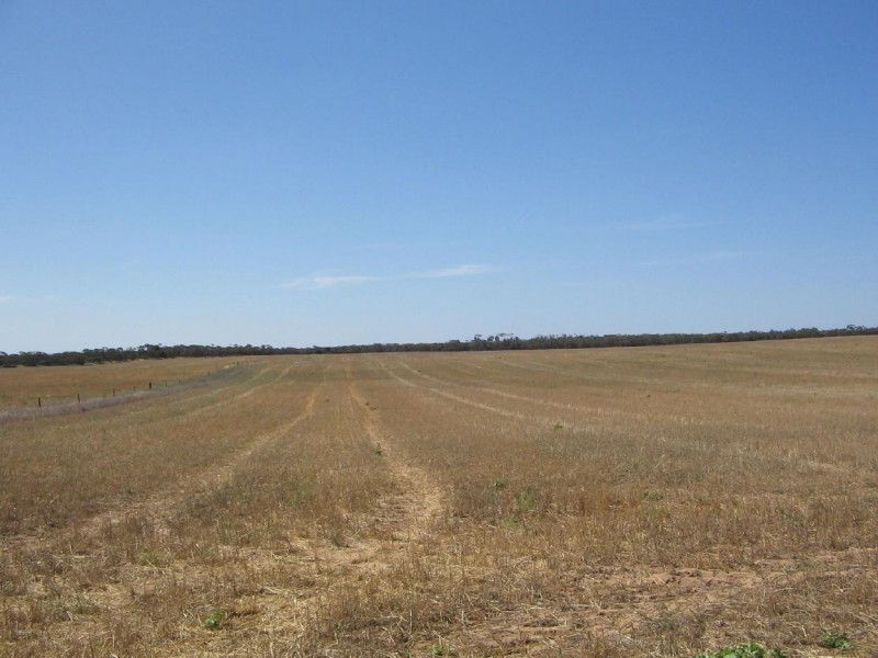 Various Lots Mulpata Road, Lameroo SA 5302