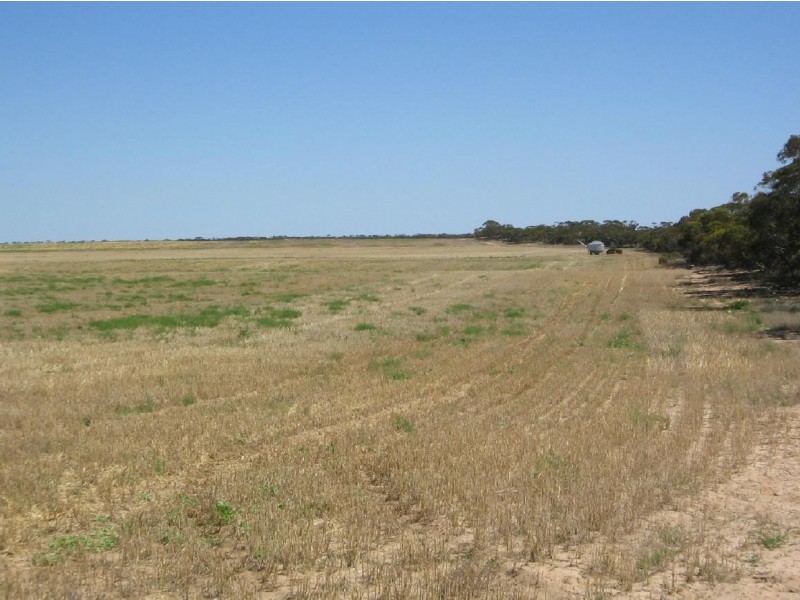 Various Lots Mulpata Road, Lameroo SA 5302