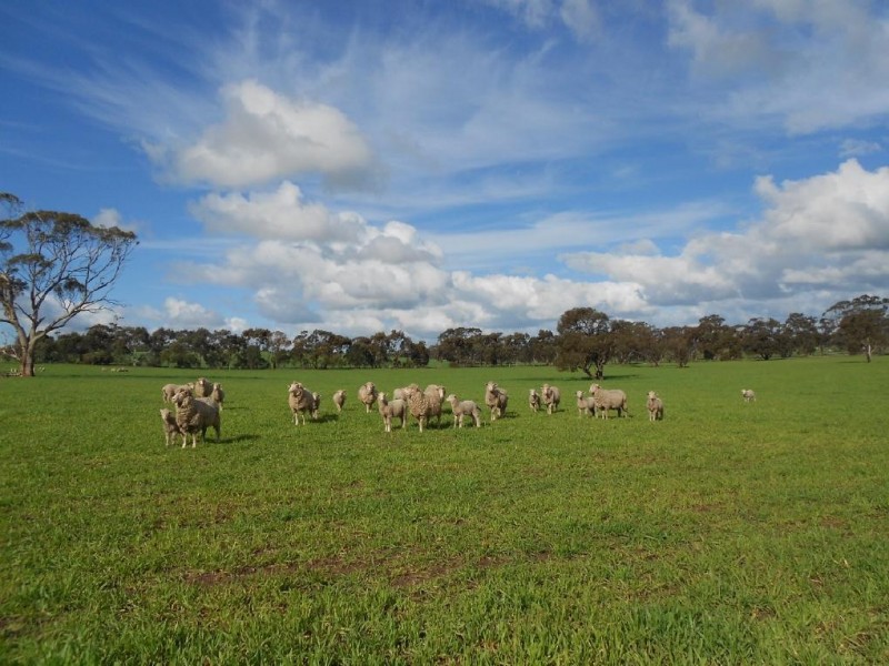 94 Main Road 21 Road, Carew SA 5270