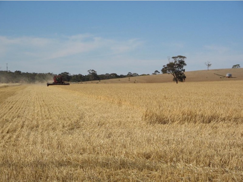 94 Main Road 21 Road, Carew SA 5270