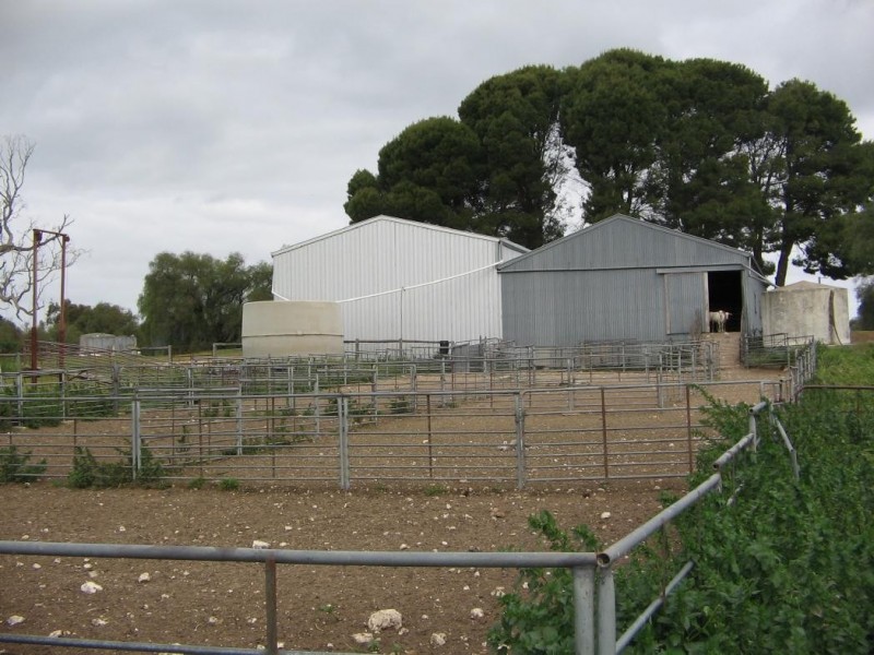 94 Main Road 21 Road, Carew SA 5270