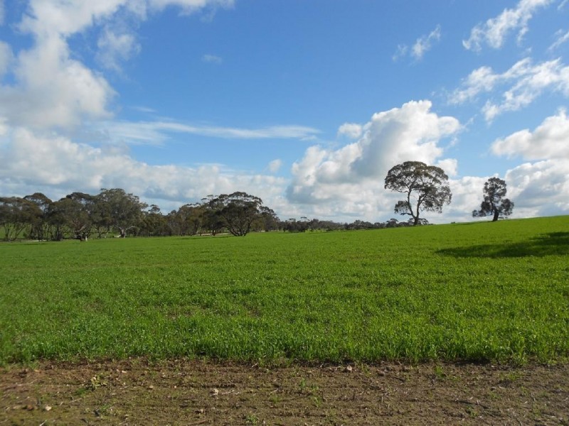 94 Main Road 21 Road, Carew SA 5270