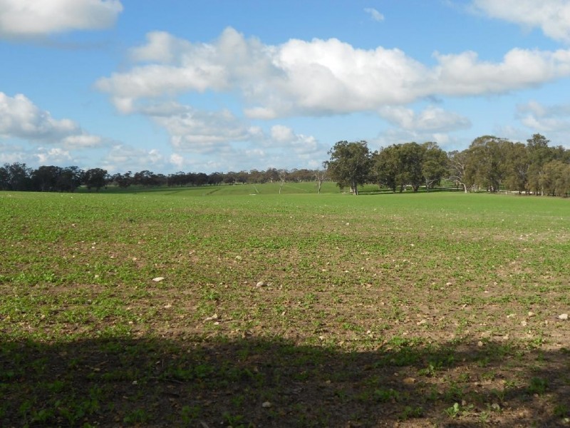 94 Main Road 21 Road, Carew SA 5270