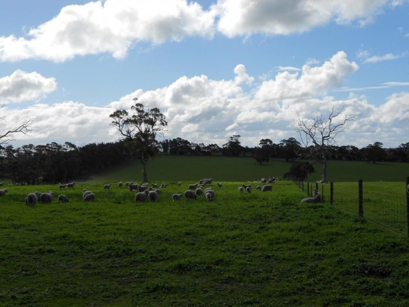 94 Main Road 21 Road, Carew SA 5270