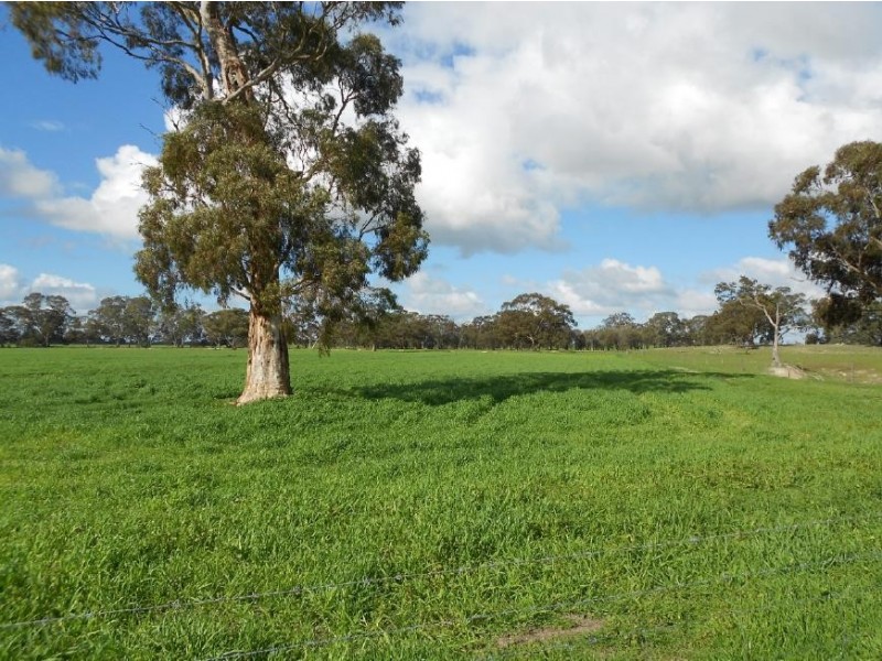 94 Main Road 21 Road, Carew SA 5270