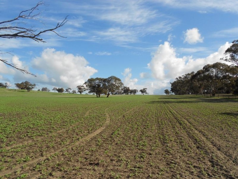 94 Main Road 21 Road, Carew SA 5270