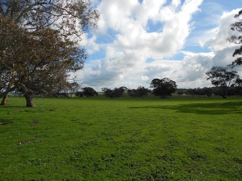 94 Main Road 21 Road, Carew SA 5270