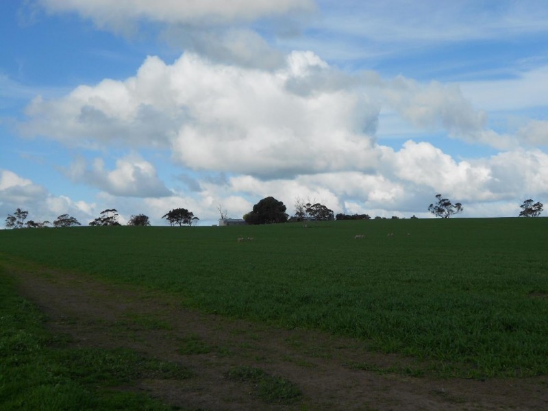 94 Main Road 21 Road, Carew SA 5270