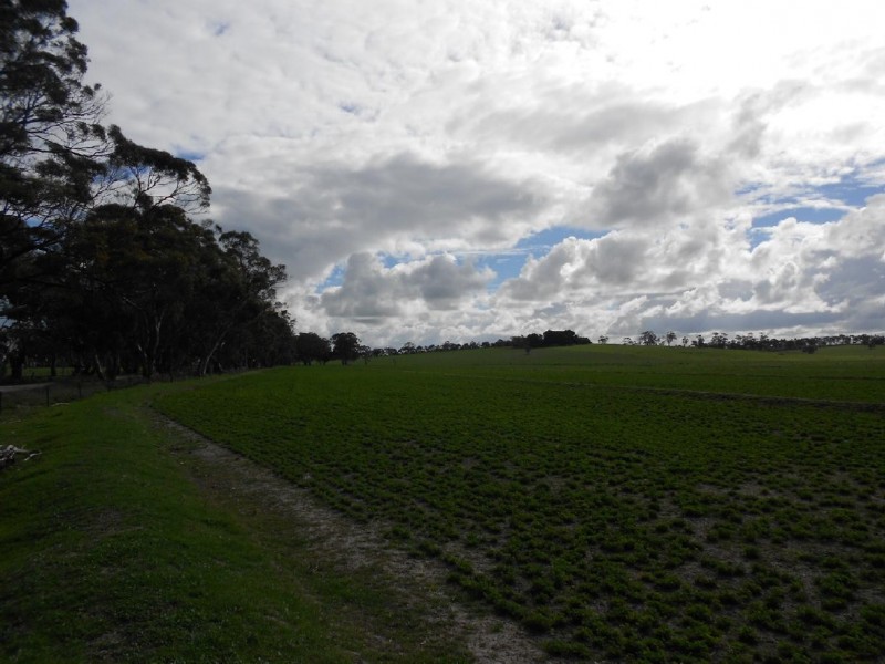 94 Main Road 21 Road, Carew SA 5270