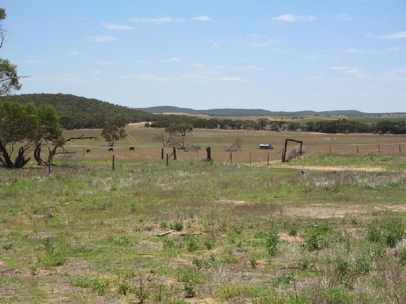 Lot 1 Kulkami/Mulpata Road, Lameroo SA 5302