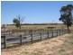Lot 1 Kulkami/Mulpata Road, Lameroo SA 5302