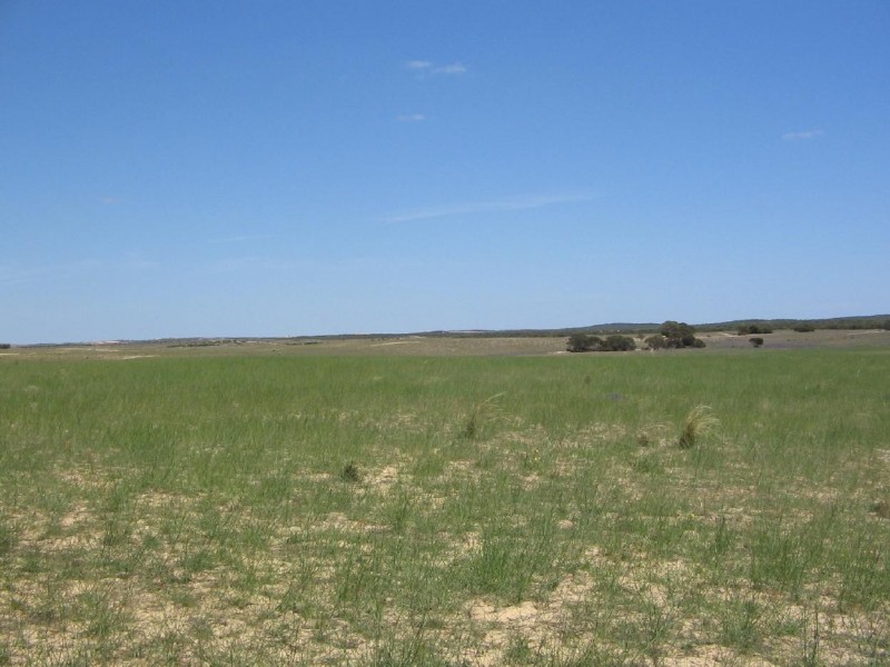 Lot 1 Kulkami/Mulpata Road, Lameroo SA 5302