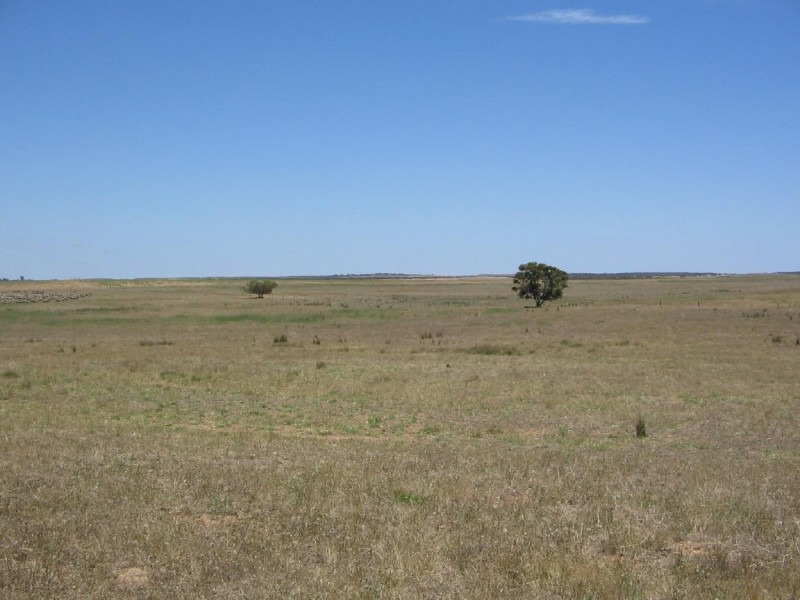 Lot 1 Kulkami/Mulpata Road, Lameroo SA 5302