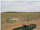 Sec 109 Nelson Road, Lameroo SA 5302