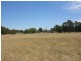 Sec 109 Nelson Road, Lameroo SA 5302