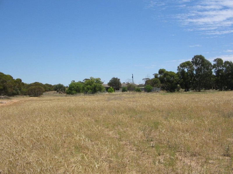 Sec 109 Nelson Road, Lameroo SA 5302
