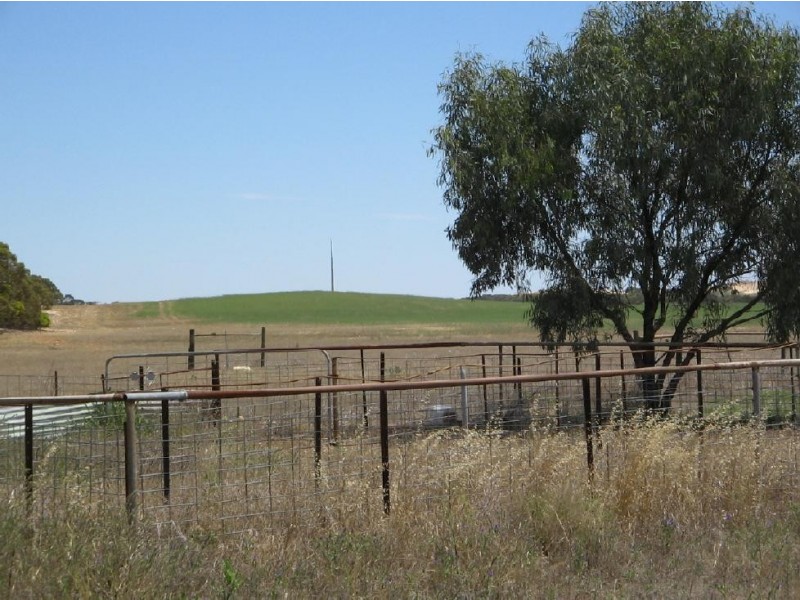 Sec 109 Nelson Road, Lameroo SA 5302