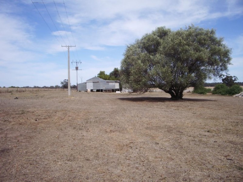 231 Buckingham Road, Mundulla SA 5270