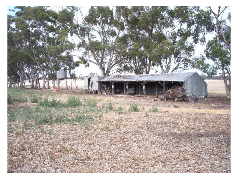 231 Buckingham Road, Mundulla SA 5270