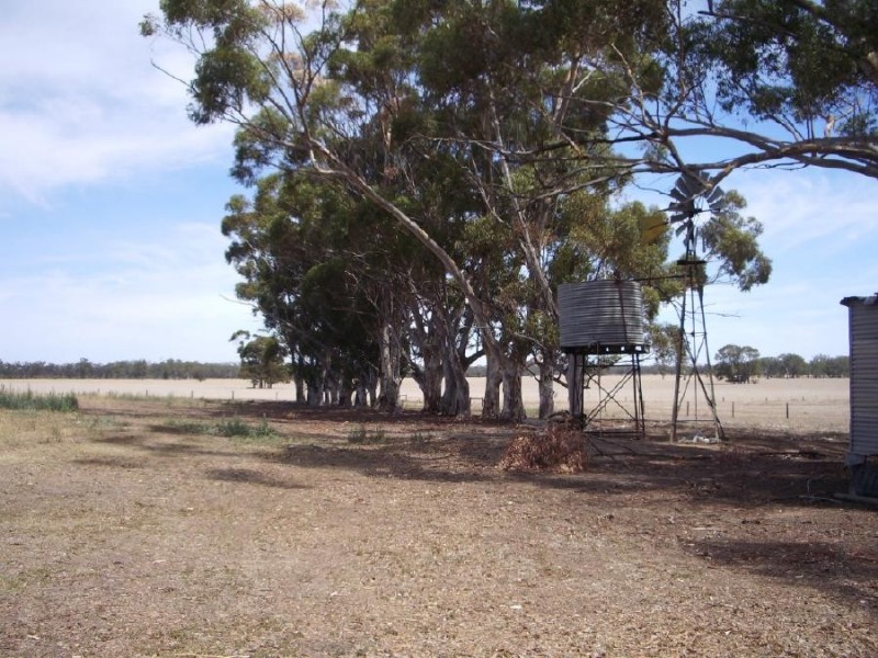 231 Buckingham Road, Mundulla SA 5270