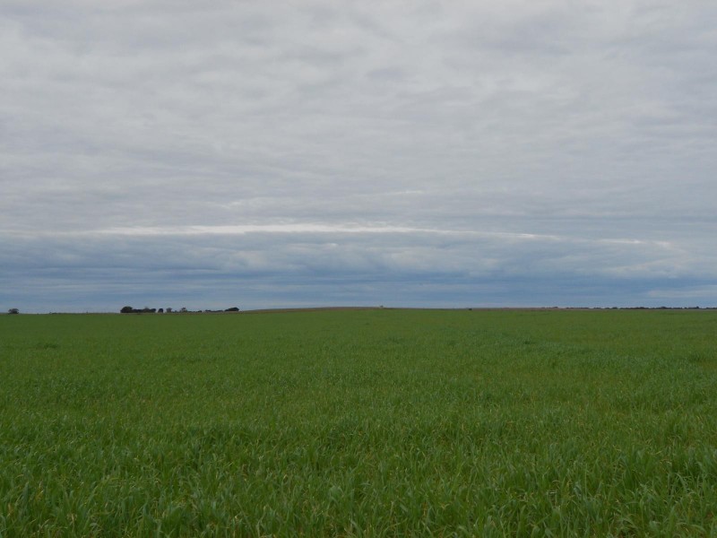 Section 30 Lameroo-Karoonda Road, Karoonda SA 5307