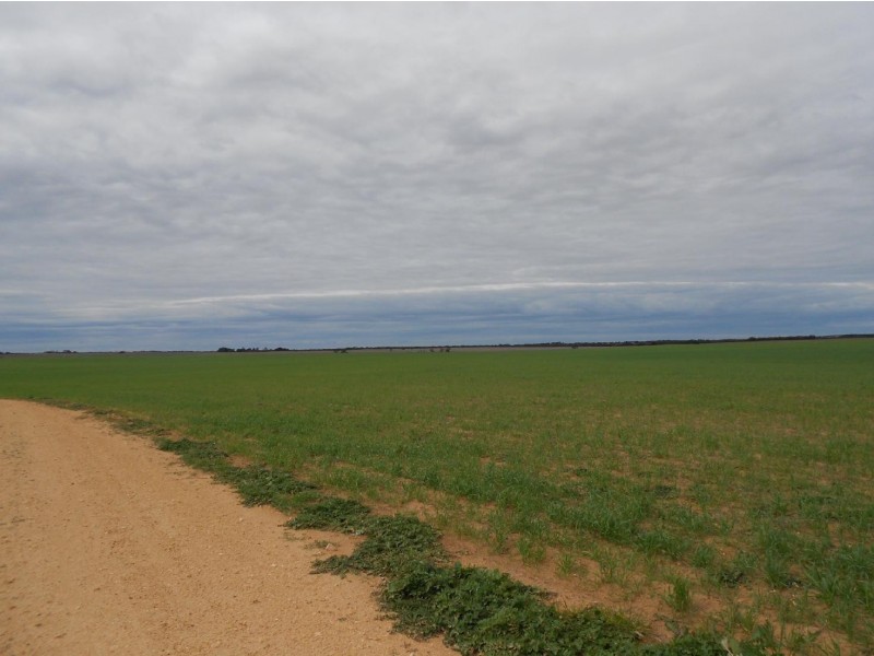 Section 30 Lameroo-Karoonda Road, Karoonda SA 5307