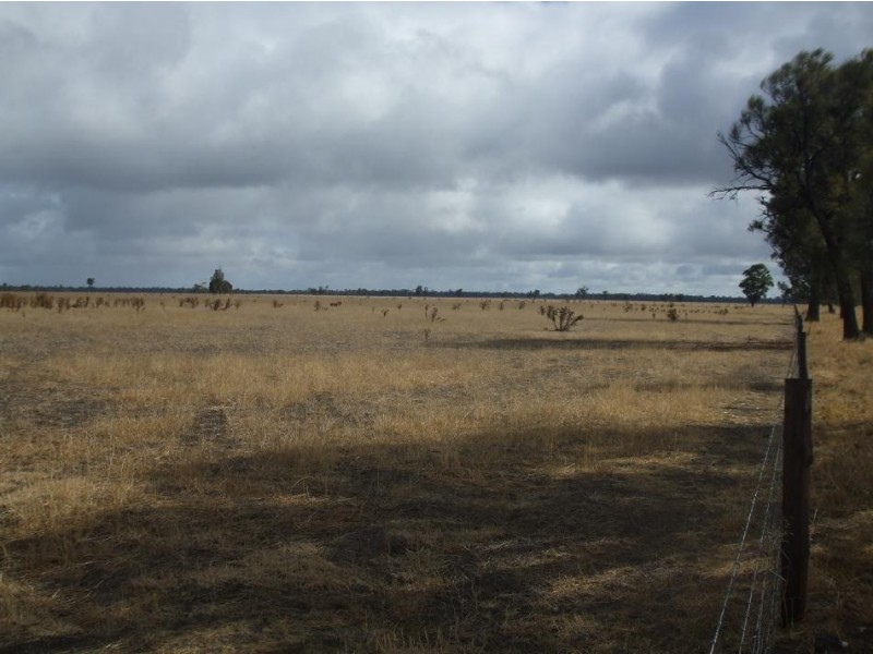 Section 585 Border Road, Frances SA 5262