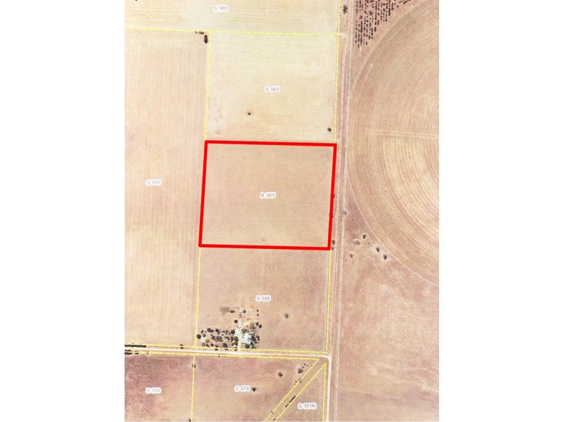 Section 585 Border Road, Frances SA 5262