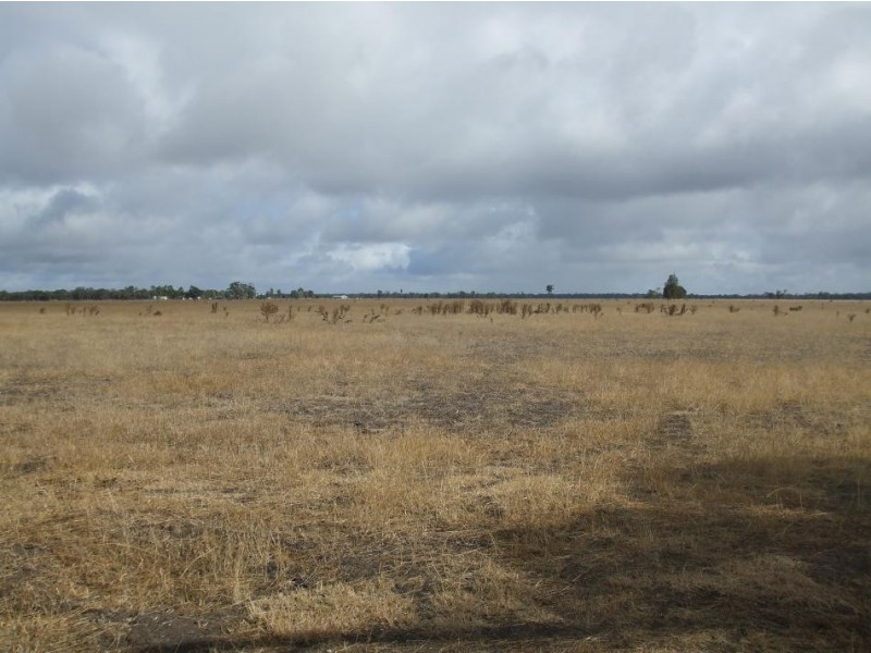 Section 585 Border Road, Frances SA 5262