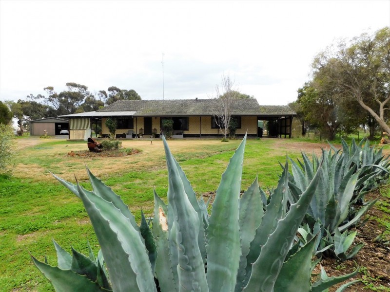17809 Dukes Highway, Bordertown SA 5268
