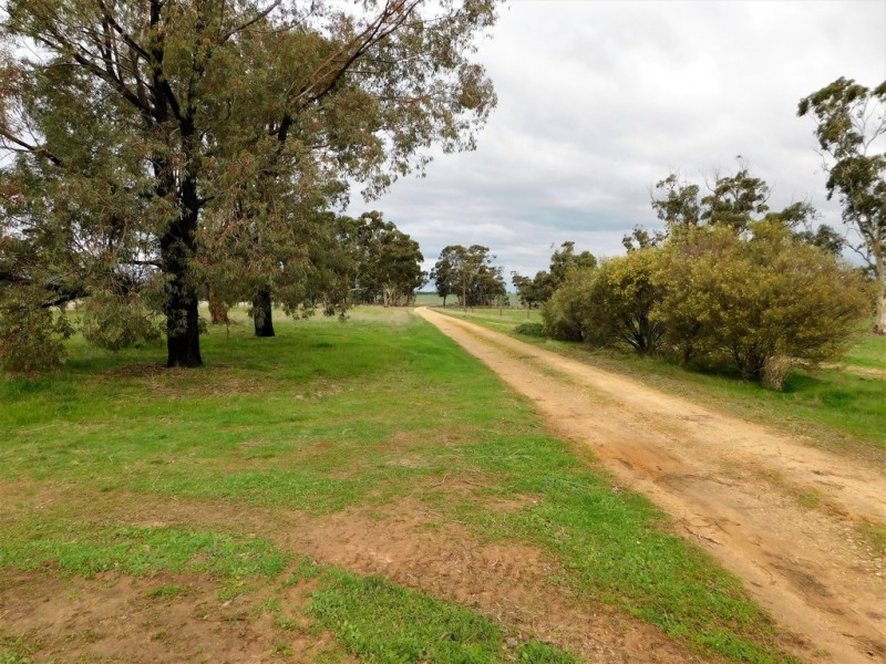 17809 Dukes Highway, Bordertown SA 5268