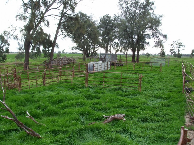 17809 Dukes Highway, Bordertown SA 5268