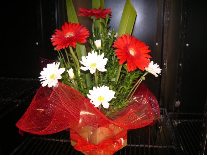 96 Woolshed Street, Bordertown SA 5268