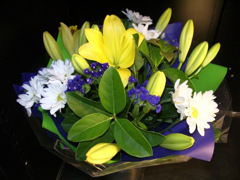 96 Woolshed Street, Bordertown SA 5268