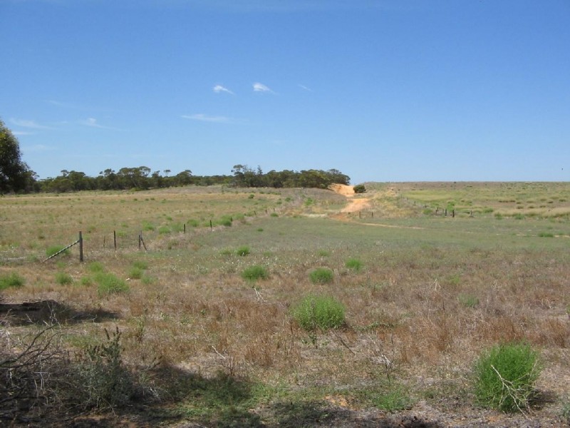 Lot 50 Mulpata Road, Lameroo SA 5302