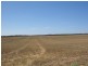 Lot 50 Mulpata Road, Lameroo SA 5302