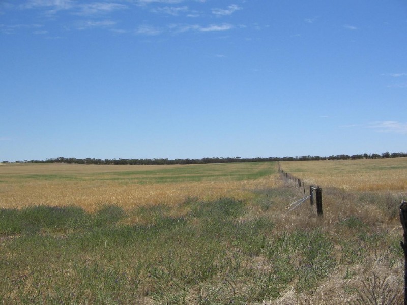 Lot 51 Mulpata Road, Lameroo SA 5302