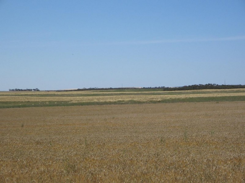 Lot 51 Mulpata Road, Lameroo SA 5302