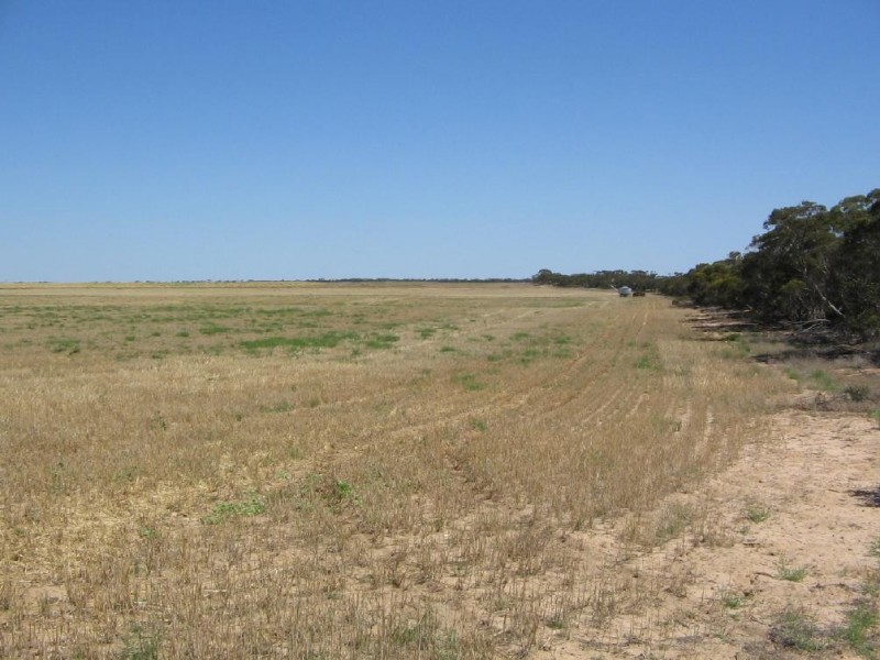 Lot 51 Mulpata Road, Lameroo SA 5302