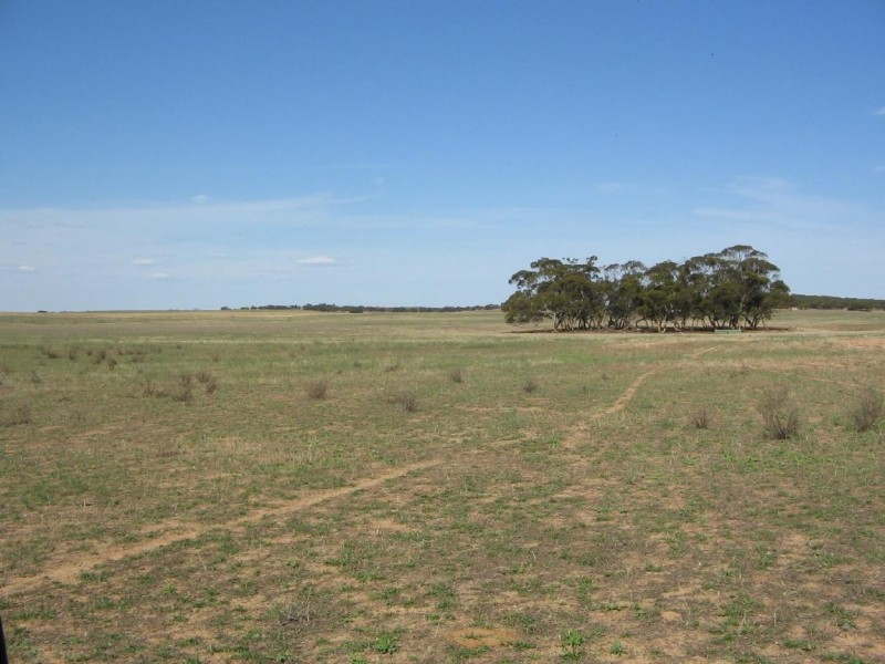 Lot 53 Mulpata Road, Lameroo SA 5302